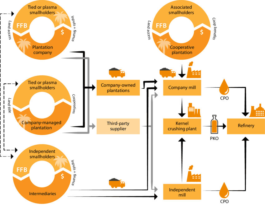 palm-oil-value.png